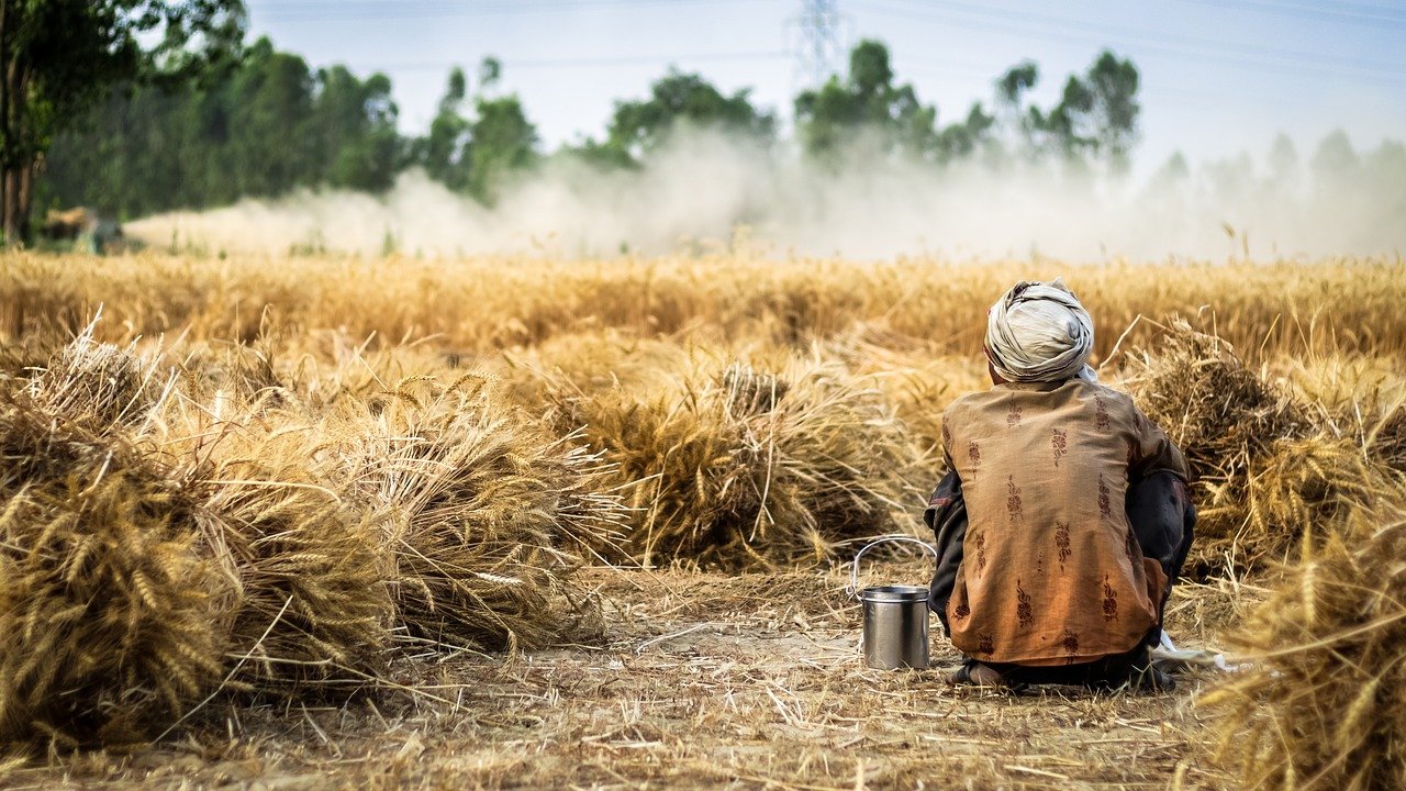 भारतीय किसान अपनी कृषि उपज में सुधार कैसे कर सकते हैं? | MD BIOCOALS